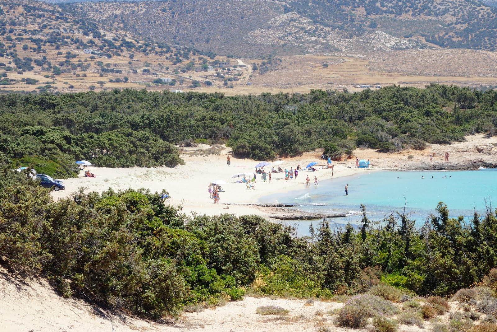 Aliko beach'in fotoğrafı vahşi alan