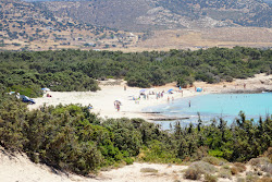 Aliko beach'in fotoğrafı vahşi alan
