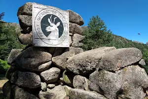 Mata de Albergaria (Gerês) image