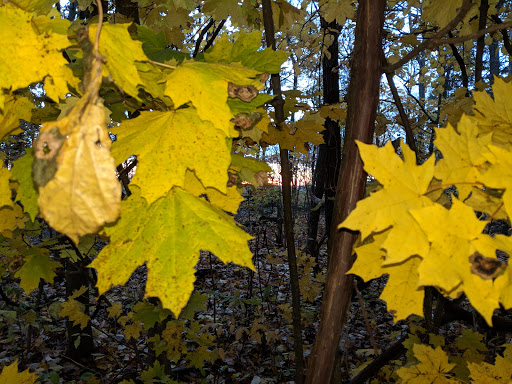 Vista Point «Ledges Overlook», reviews and photos, 405 Truxell Rd, Peninsula, OH 44264, USA