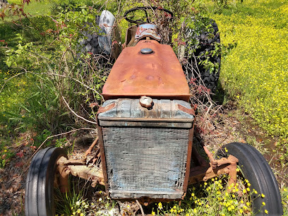 Plaquemines Parish Tourism