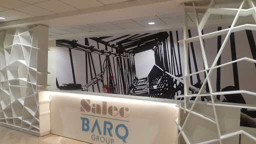 BARQ Systems (Salec Egypt)