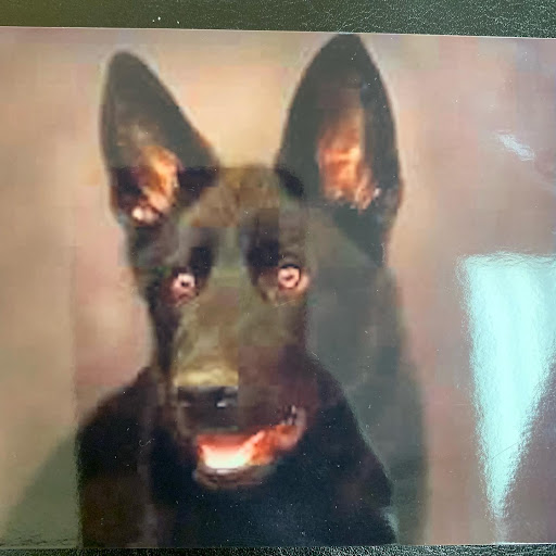 Explore vitiligo tattoo ideas, creative tattoo ideas in Marietta, available at Lure Tattooing & Piercing LLC