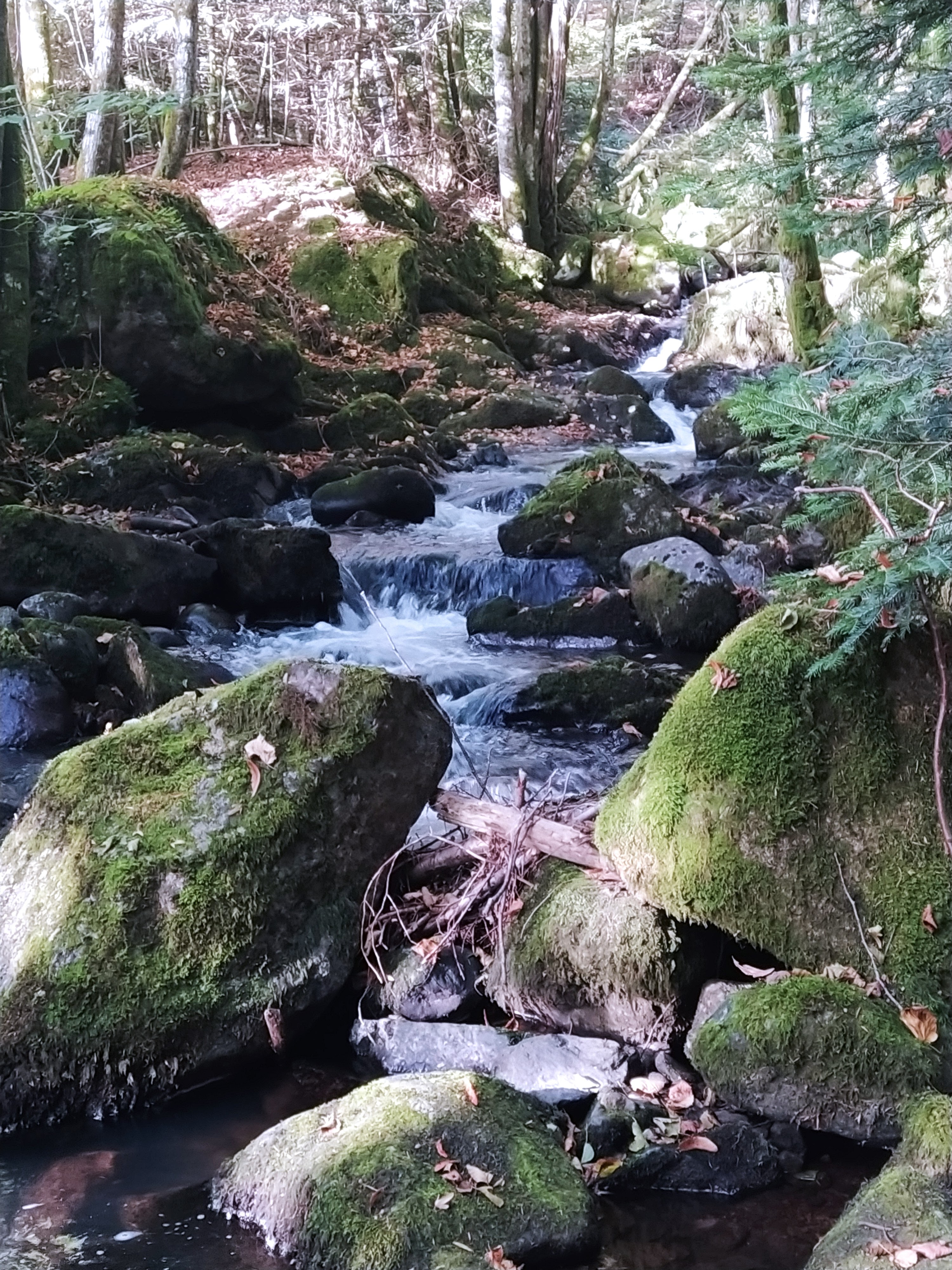 Photo n° 1 de l'avis de Nathalie.a fait le 08/10/2023 à 13:27