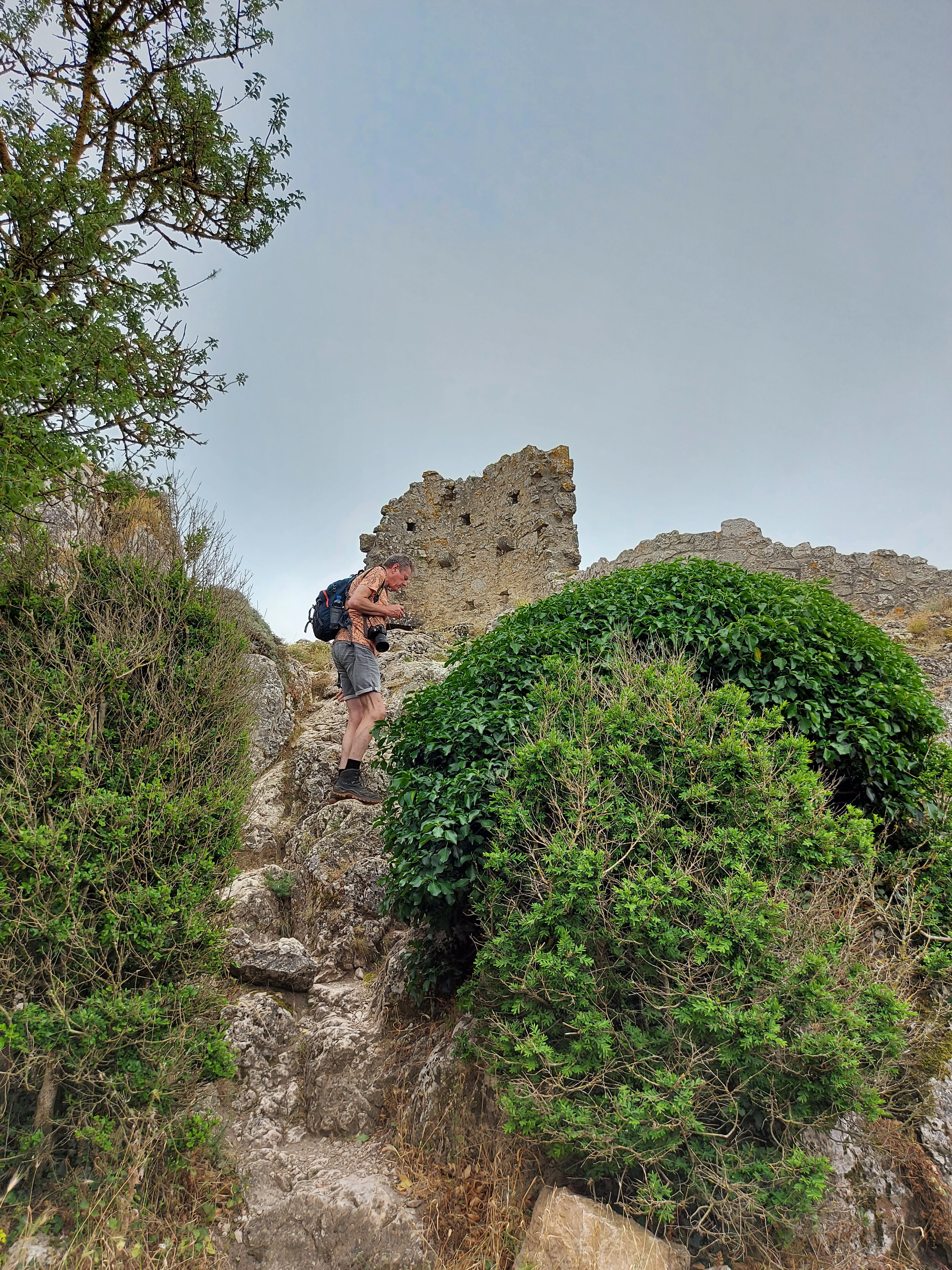 Photo n° 12 de l'avis de Petra.r fait le 21/06/2022 à 17:48