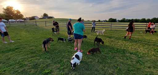 Dog Park «Daisy Dog Park», reviews and photos, 13214 Blakely Dr, Plainfield, IL 60585, USA