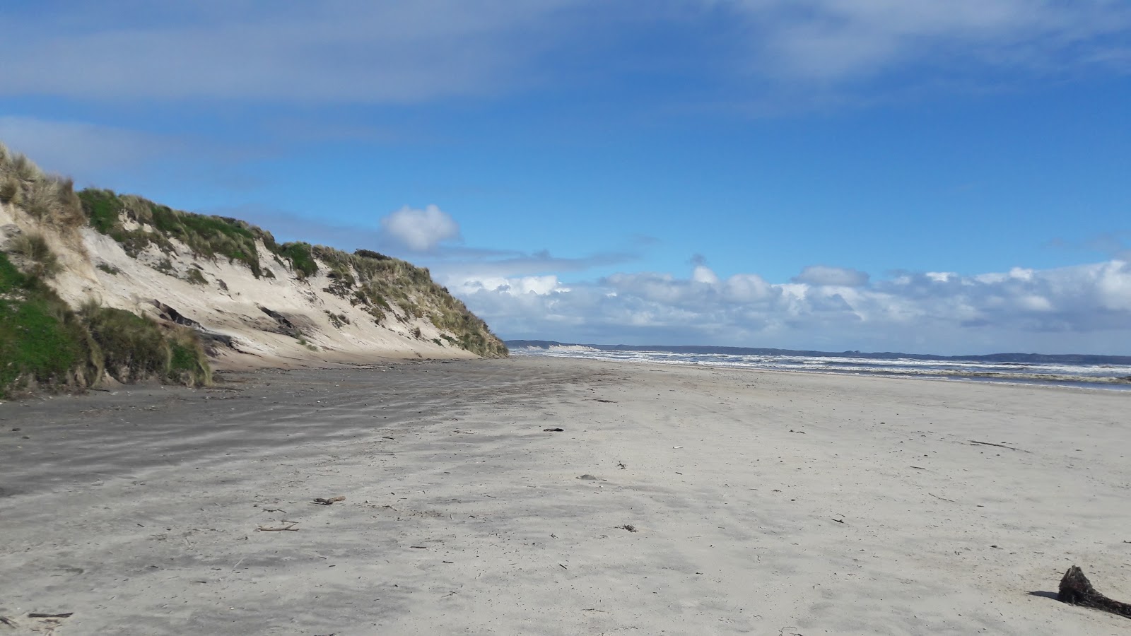 Ocean Beach photo #8