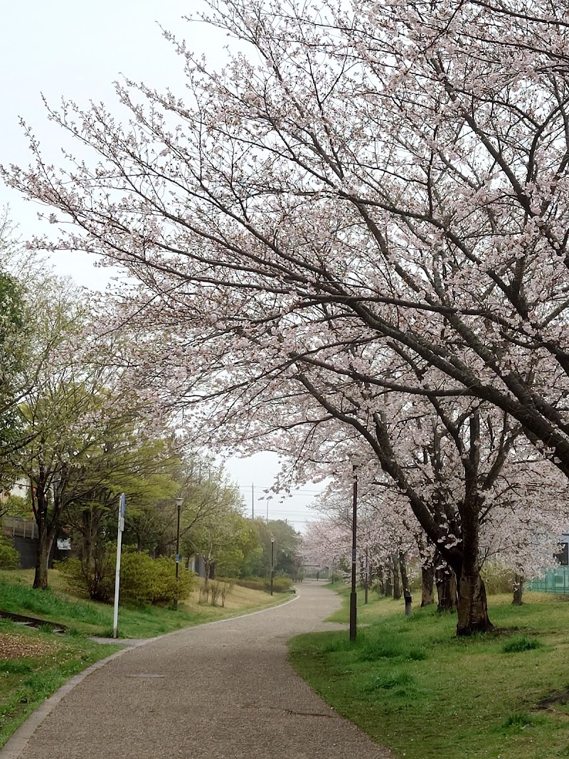 春の道（おゆみの野遊歩道）四季の道