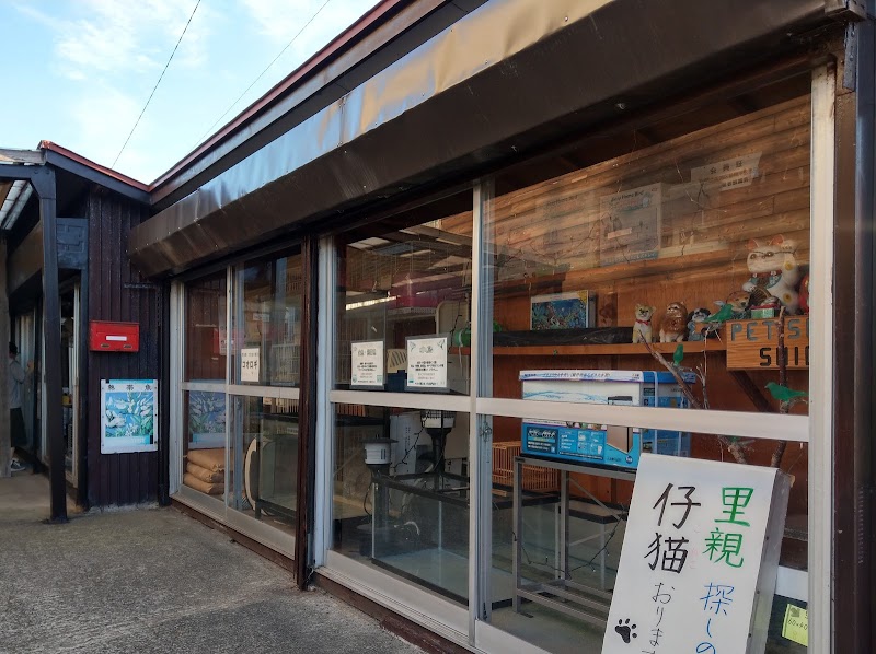 信太小鳥店