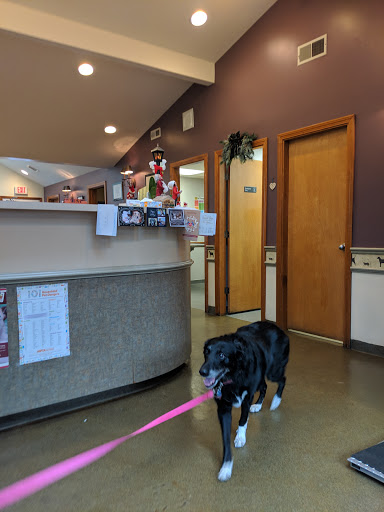 Sudbury Animal Hospital image