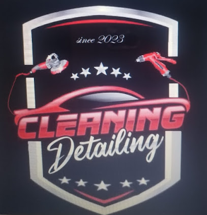 Cleaning Detailing