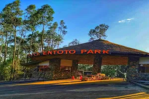 Entoto Natural Park (Nursery) image