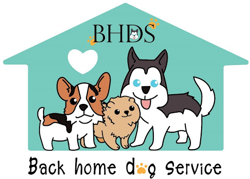Back home dog service
