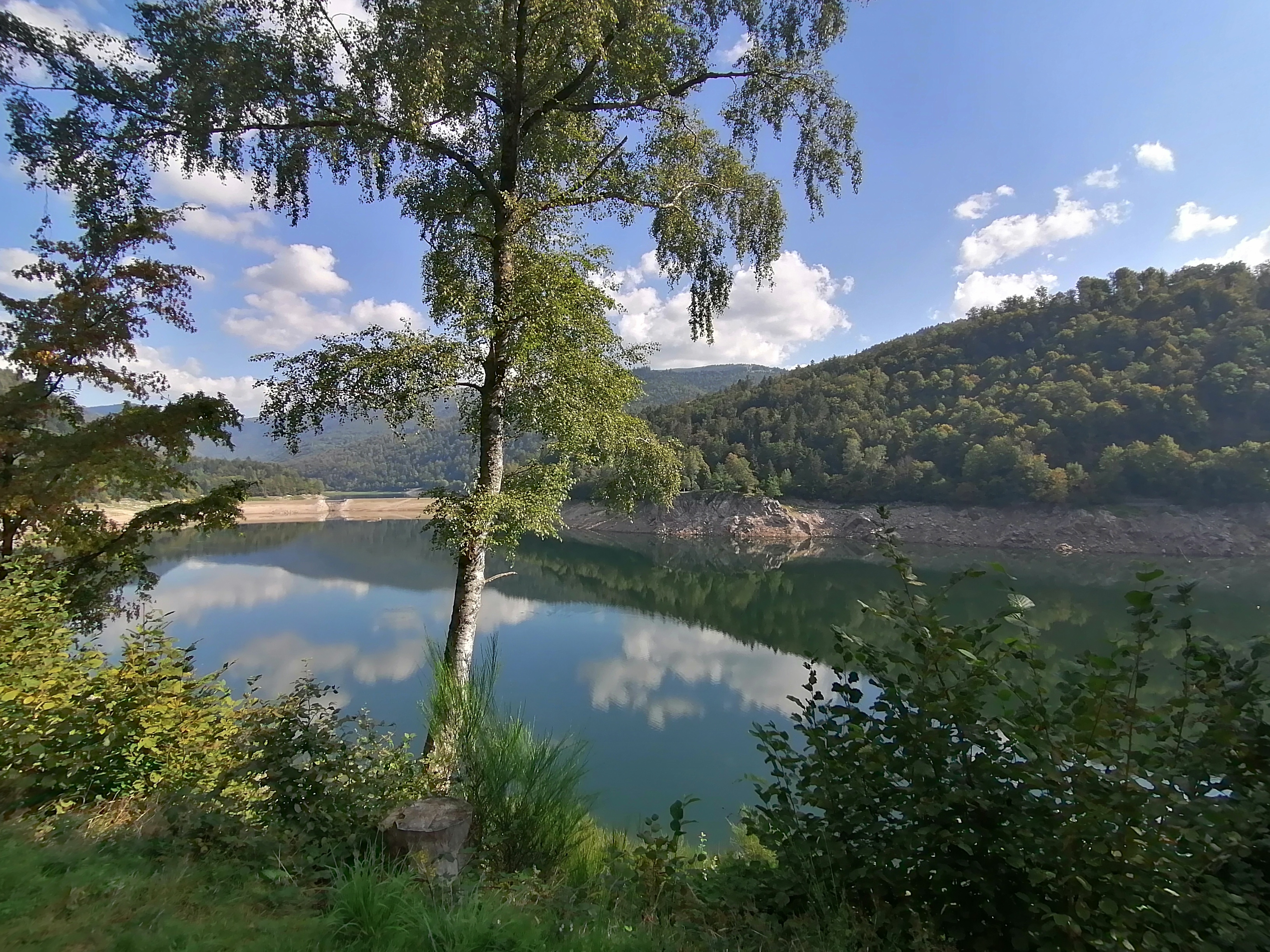 Photo n° 36 de l'avis de Bertrand.e fait le 09/09/2023 à 17:20