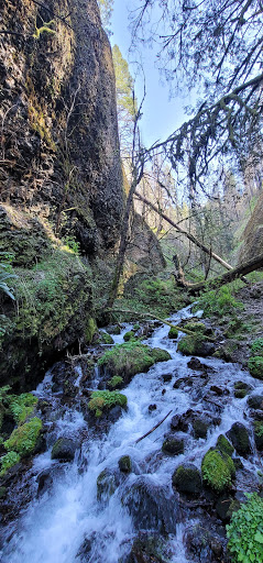 Tourist Attraction «Fairy Falls», reviews and photos, Wahkeena Trail #420, Corbett, OR 97019, USA