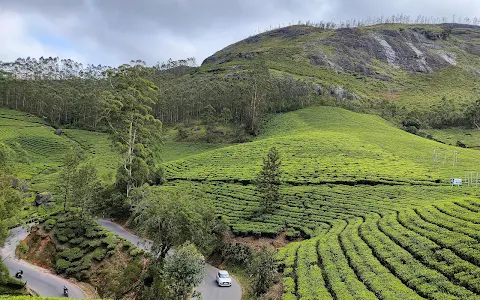 Munnar Hill Station image