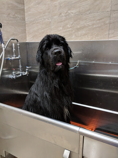 Pet Supply Store «Chow Hound Pet Supplies», reviews and photos, 660 Chicago Dr, Holland, MI 49423, USA