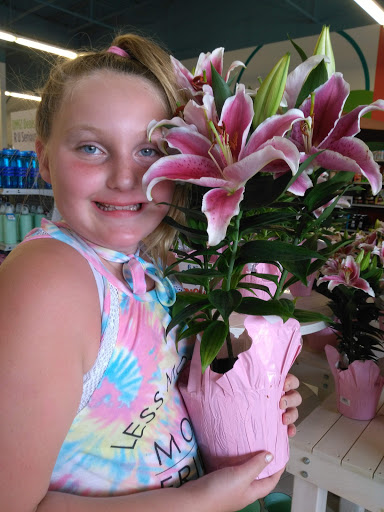 Discount Store «Here Today St Charles», reviews and photos, 800 S Duchesne Dr, St Charles, MO 63301, USA