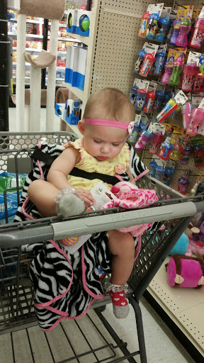 Discount Store «Big Lots», reviews and photos, 1427 S Collins St, Plant City, FL 33563, USA