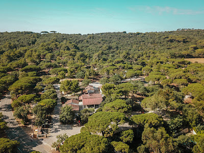Camping Ladouceur - Ramatuelle Saint Tropez à Ramatuelle