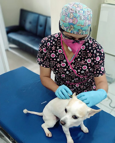 Opiniones de veterinaria Alf Vet en Guayaquil - Veterinario