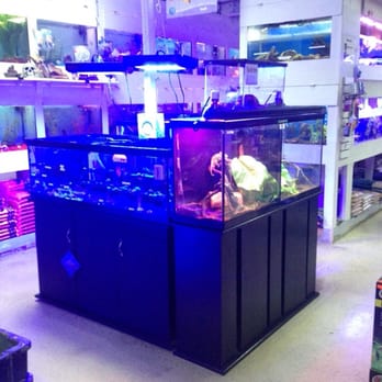 Pet Store «Tanks A Lot Aquariums», reviews and photos, 6680 Lantana Rd, Lake Worth, FL 33467, USA