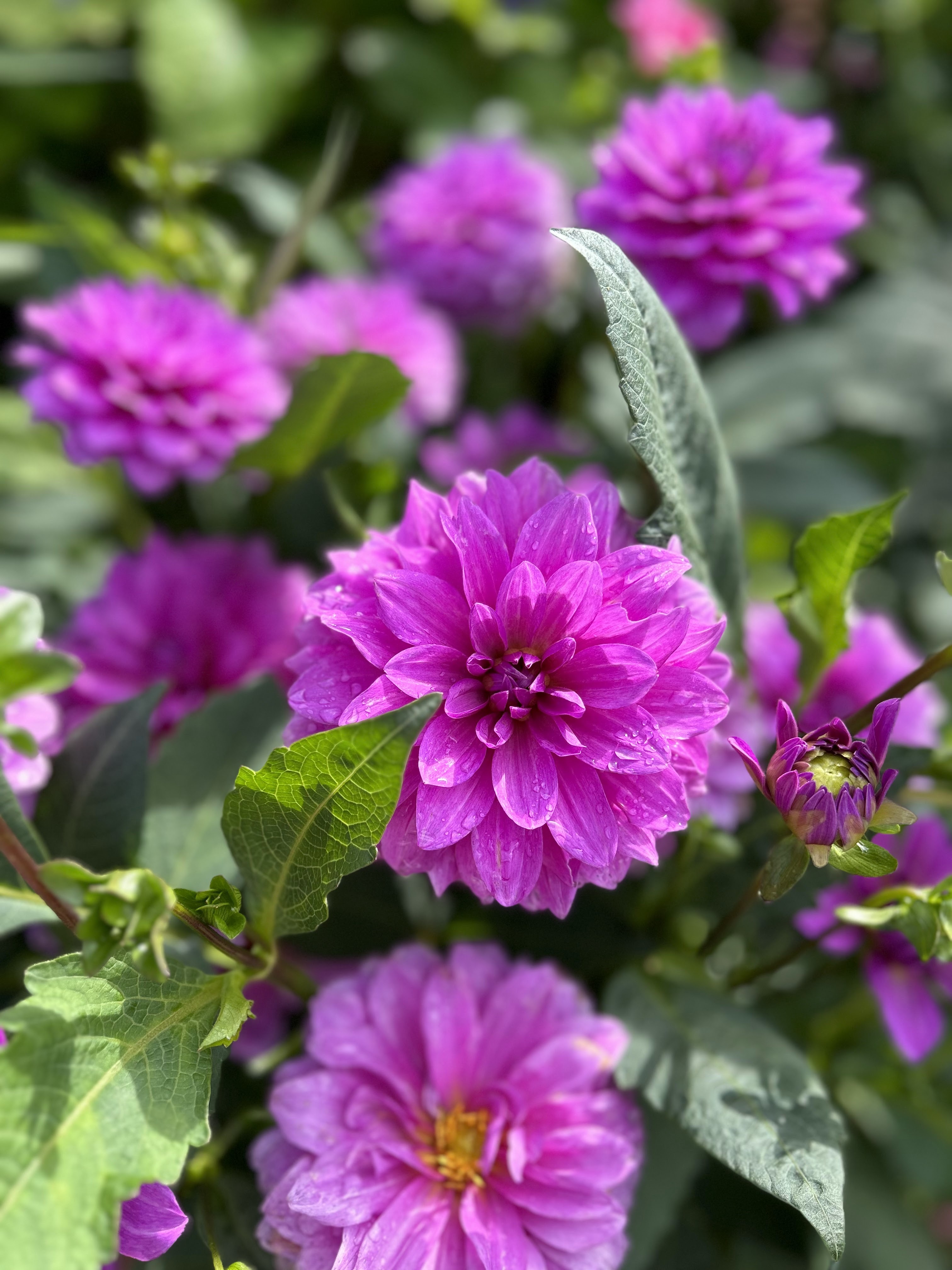 Photo n° 2 de l'avis de Yvonne.h fait le 20/09/2023 à 08:39