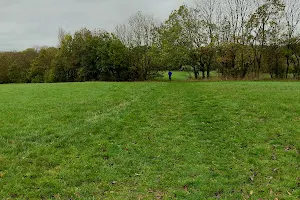 Fryent Country Park image