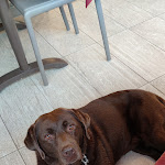 Photo n°2 de l'avis de Patrick.o fait le 16/09/2021 à 15:20 sur le  Pizzeria Rica Roca à Lido di Jesolo