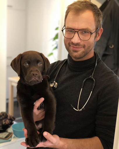 HausVet - Mobiler Tierarzt in Zürich
