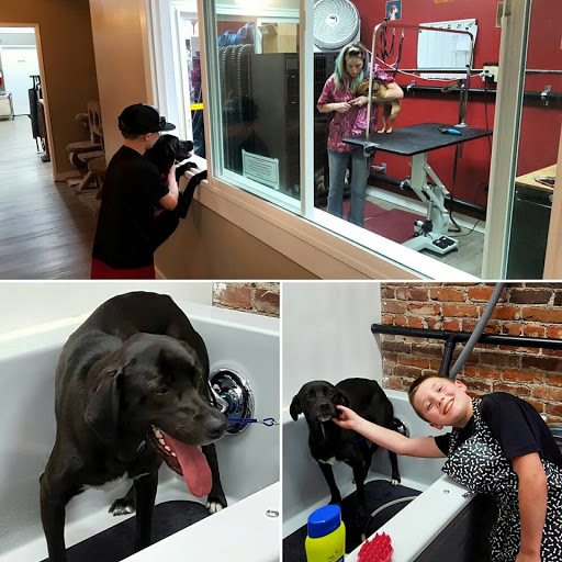 Pet Store «Firehouse Pet Shop & Grooming», reviews and photos, 17 S Wenatchee Ave, Wenatchee, WA 98801, USA