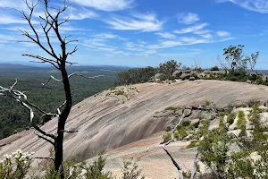 Bald Rock National Park image