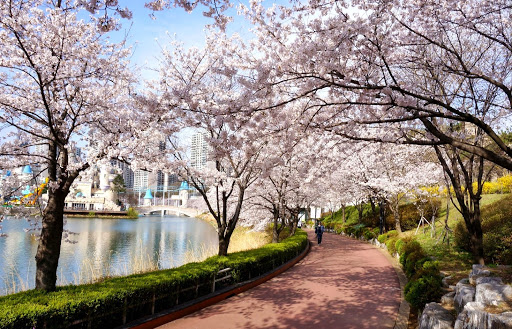 Songpa Naru Park (Seokchon Lake Park)