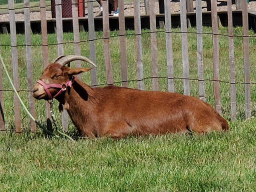 Auditorium «Bedford Heights Community Center», reviews and photos, 5615 Perkins Rd, Bedford Heights, OH 44146, USA