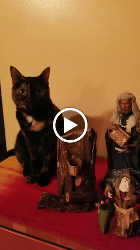 Day Spa «Touch of Class Day Spa», reviews and photos, 3000 N University Dr A, Coral Springs, FL 33065, USA