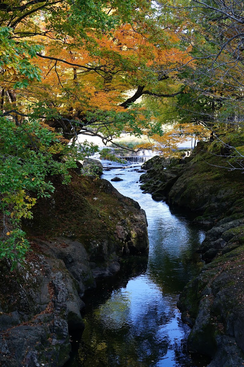 弁天島