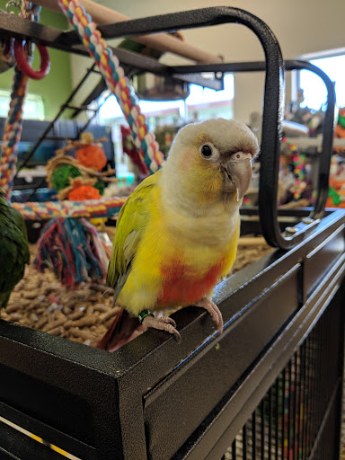 Pet Supply Store «Pet Supplies Plus», reviews and photos, 411 Commack Rd, Deer Park, NY 11729, USA