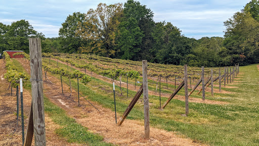 Winery «Hidden Meadow Vineyard and Winery», reviews and photos, 664 Co Rd 606, Jemison, AL 35085, USA