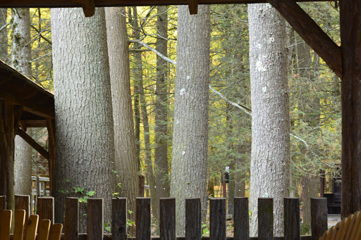 Pet Store «Abrams and Weakley General Store for Animals», reviews and photos, 3963 N 6th St, Harrisburg, PA 17110, USA