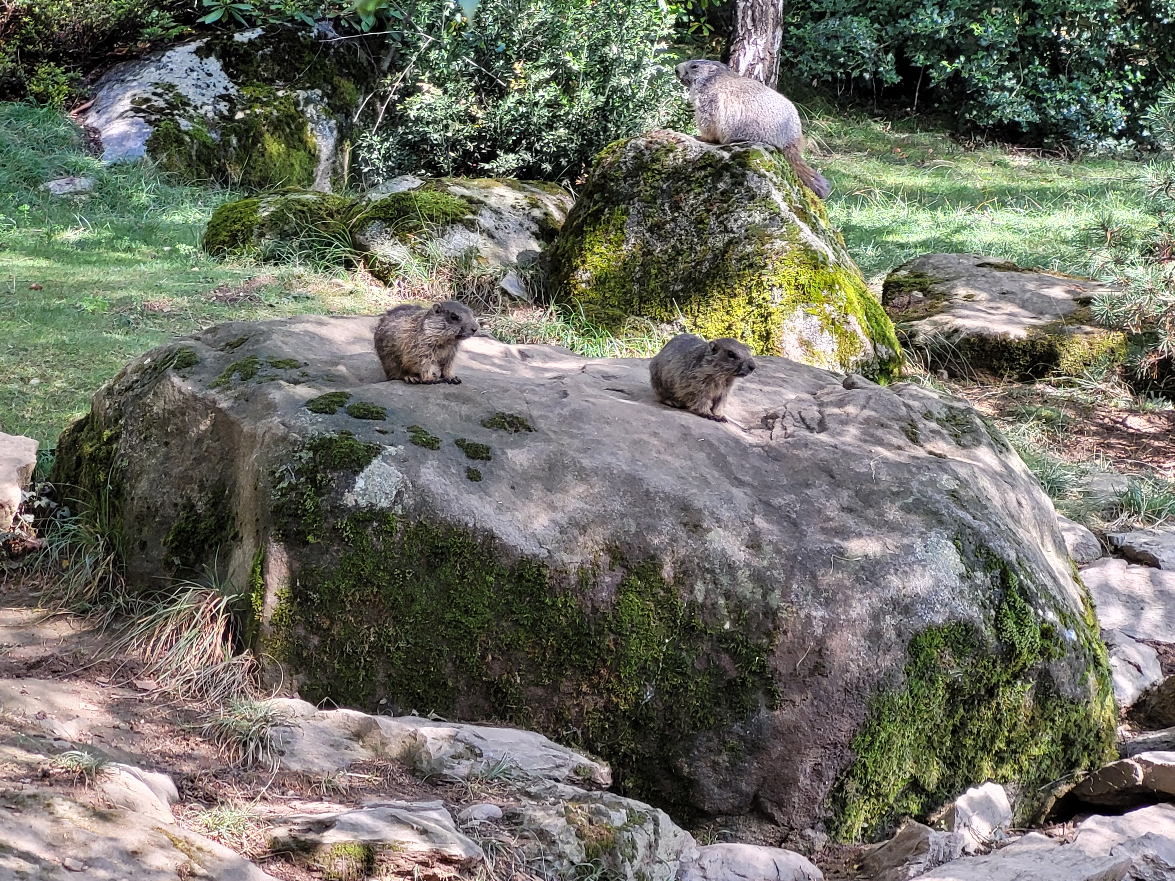 Photo n° 2 de l'avis de Margot.u fait le 19/08/2022 à 12:22