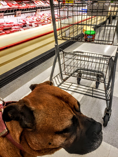 Supermarket «Stop & Shop», reviews and photos, 56 Shank Painter Rd, Provincetown, MA 02657, USA