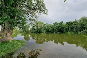 Obala reke Tamiš - 'Skela' image