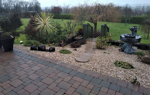 D'Arcy Landscaping and Property Maintenance