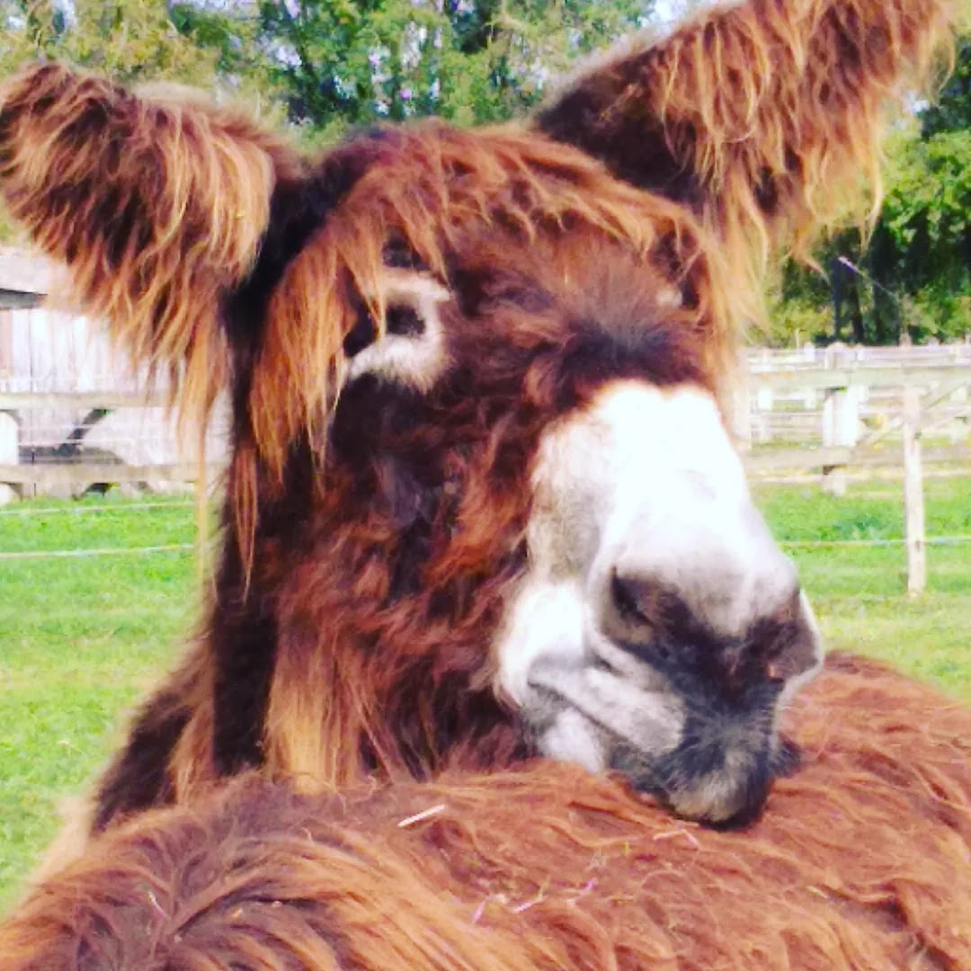 Photo n° 1 de l'avis de Flo.- fait le 01/11/2022 à 21:16