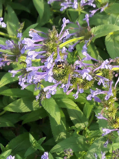 Golf Course «Harvard Gulch Golf Course», reviews and photos, 660 E Iliff Ave, Denver, CO 80210, USA