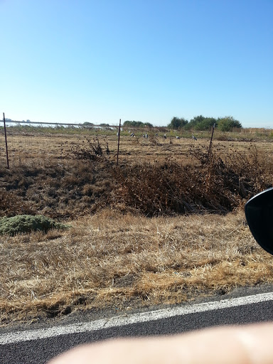 Nature Preserve «Woodbridge Ecological Reserve», reviews and photos, 7730 W Woodbridge Rd, Lodi, CA 95242, USA