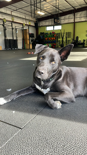 Gym «Method CrossFit», reviews and photos, 9809 E Easter Ave, Centennial, CO 80112, USA