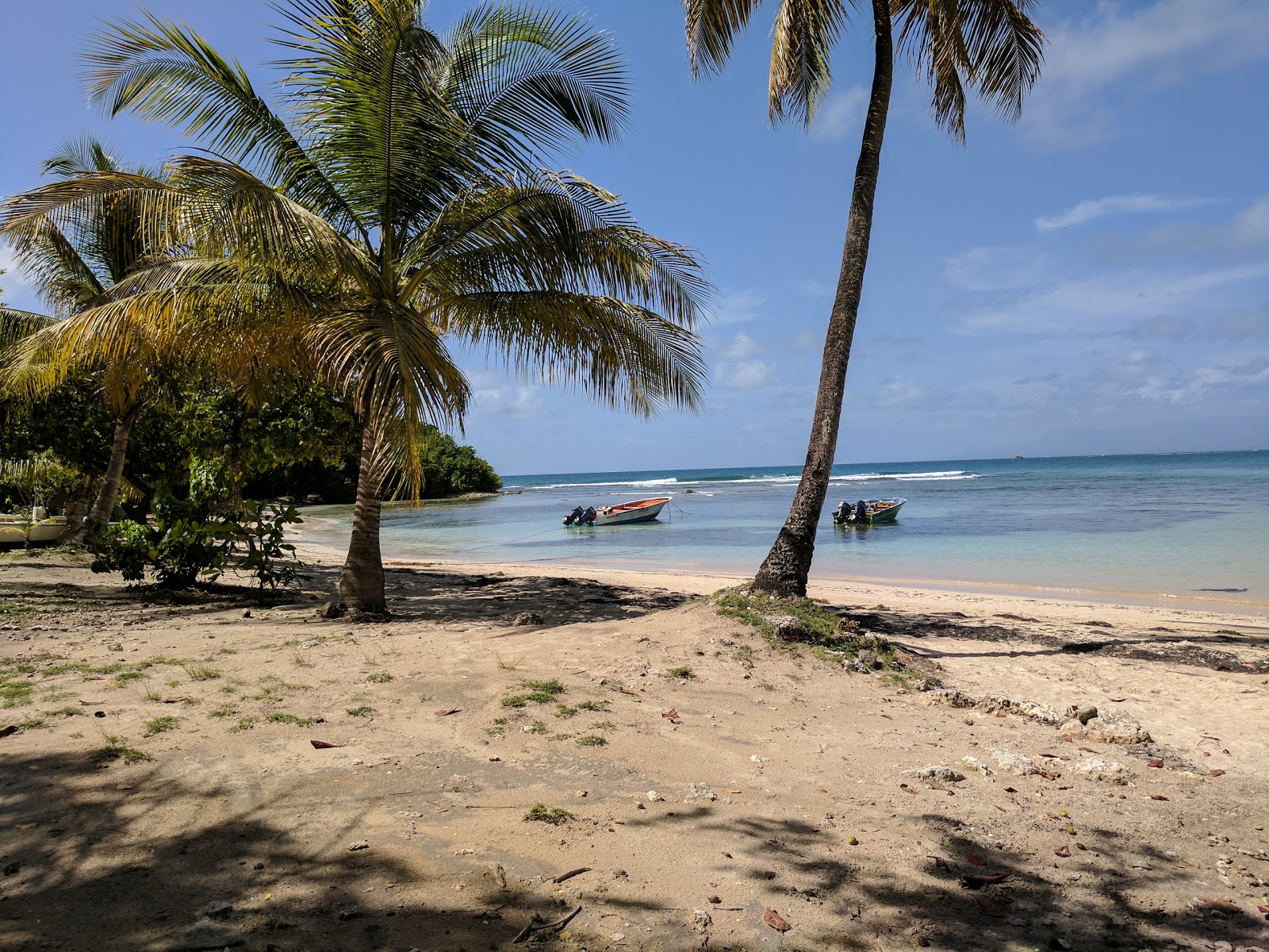 Beach of Petit-Havre的照片 便利设施区域