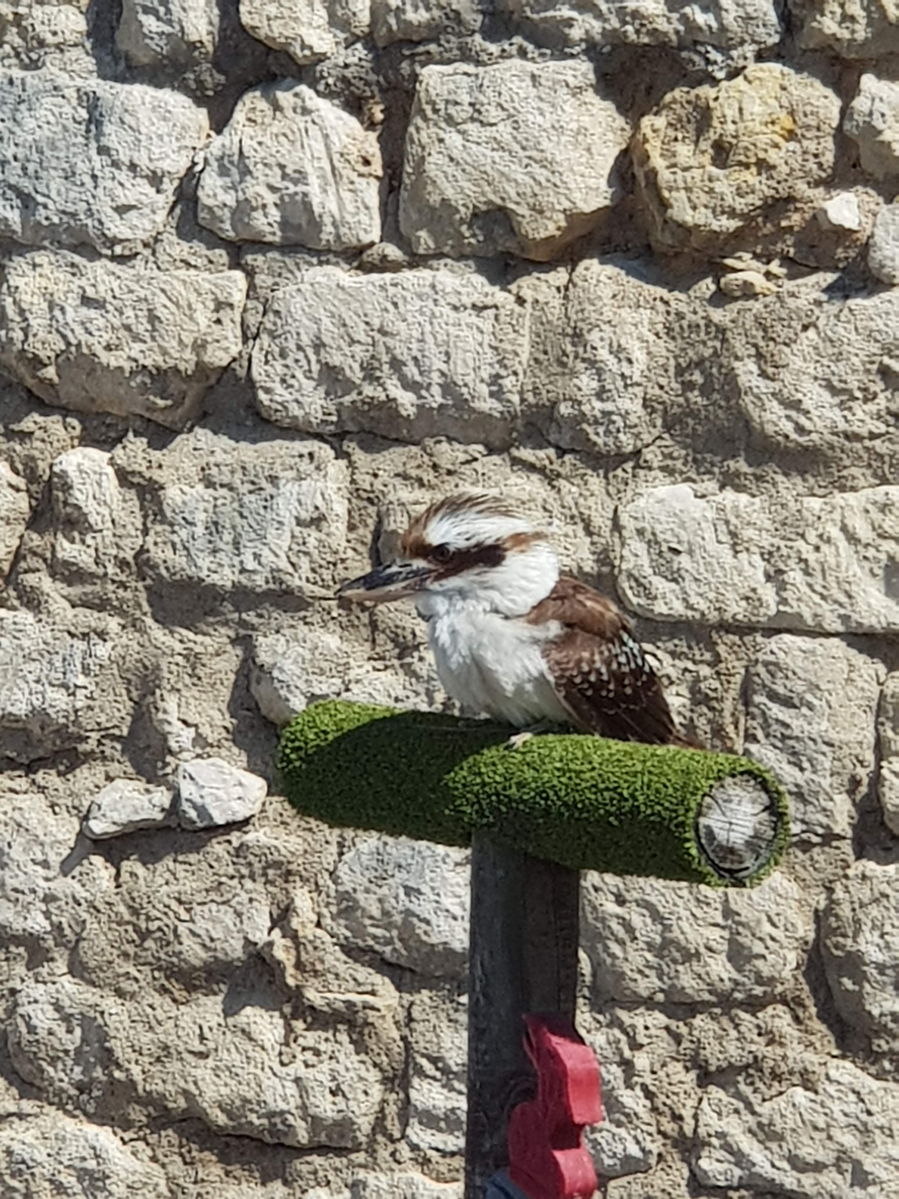 Photo n° 13 de l'avis de La.� fait le 10/08/2022 à 18:06