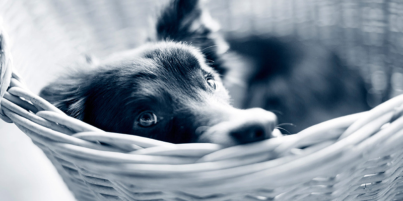  i Gasverksgatan 17, 392 45 Kalmar